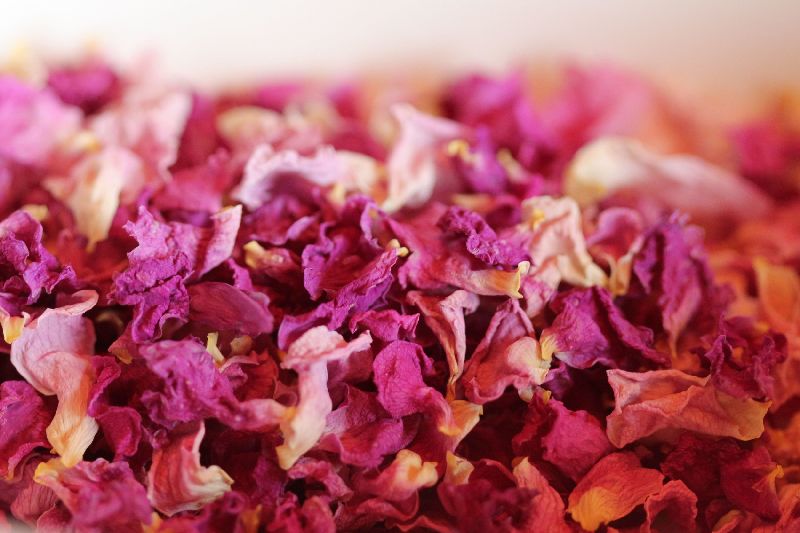 Dried Pink Rose Petals